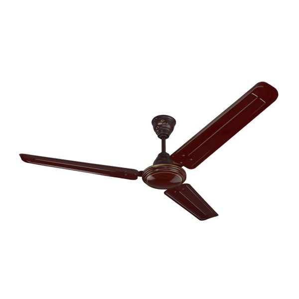 Ceiling Fans